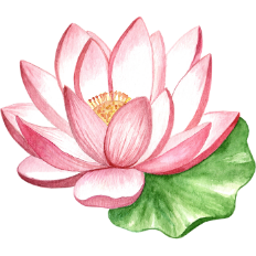 Guided Meditation
